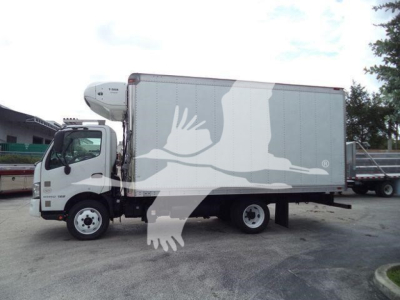 2019 Hino 195 refrigerated truck side view with white cab and cargo box, large logo watermark of a bird overlaying the image.