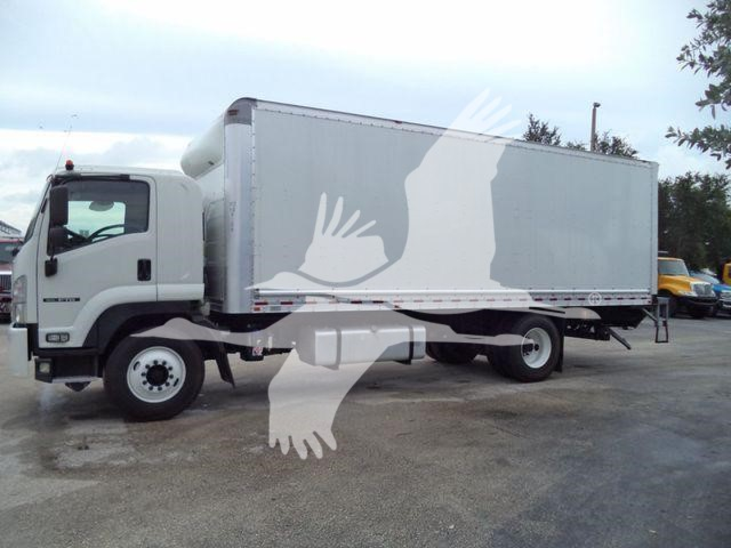 2018 Isuzu FTR box truck with a large cargo box and cab, front left view