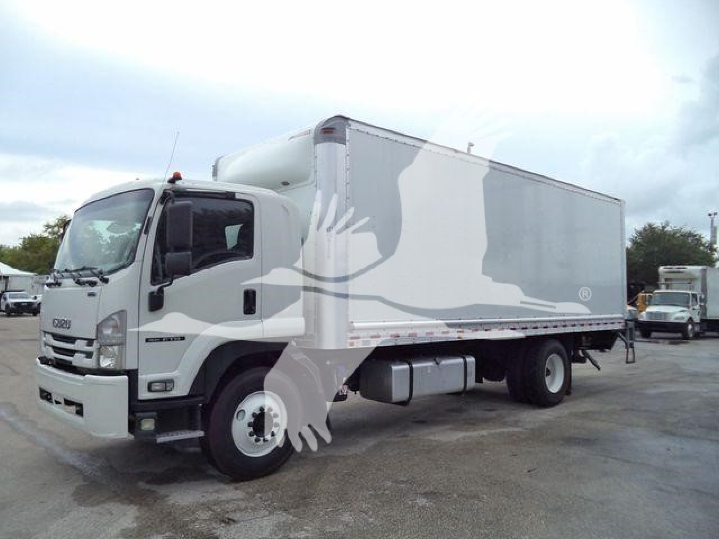 Isuzu FTR box truck in side view showing cargo box and cab; white with gray accents; VIN plate visible; fuel tank and wheel wells.