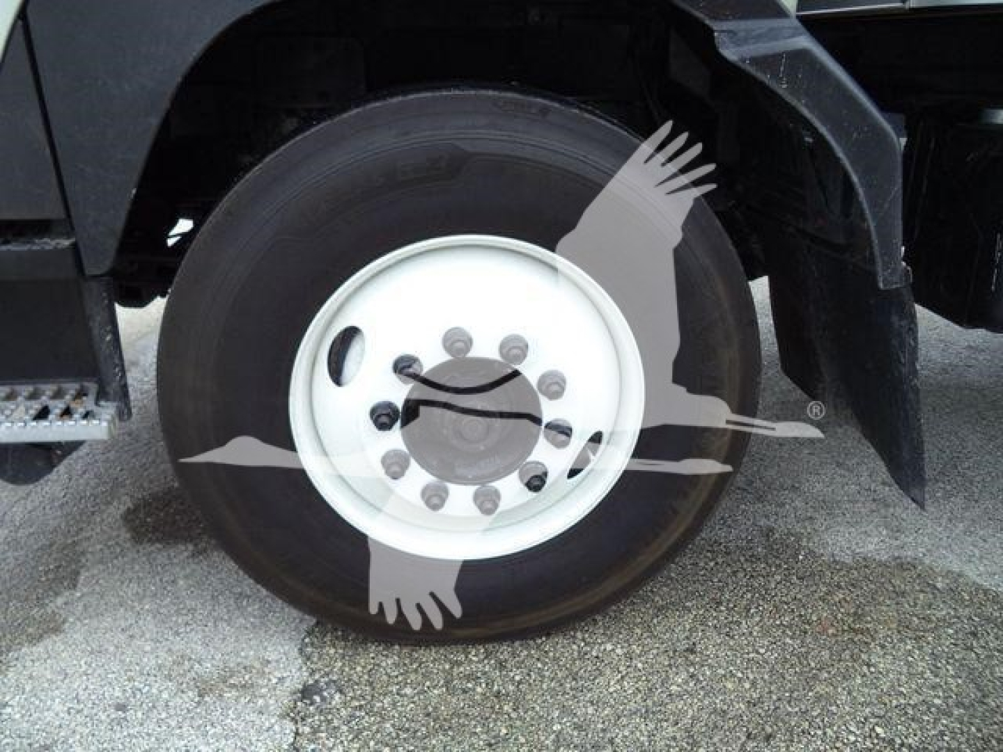 Isuzu truck wheel and fender showing white steel rim and black tire.