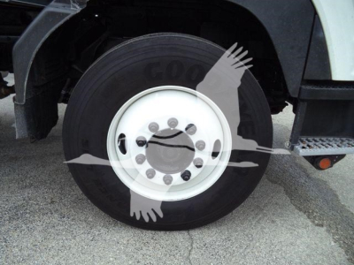 Isuzu truck wheel and tire showing white steel rim with lug nuts and front fender edge