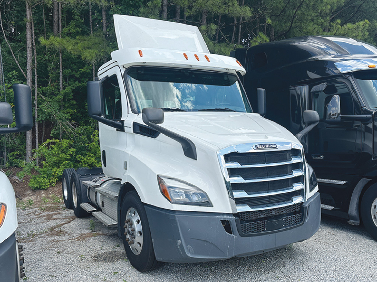 Truck hood and cab of a white Freightliner Cascadia 116 Conventional Daycab with sleeper, chrome grille, and DEF/engine labels not visible.