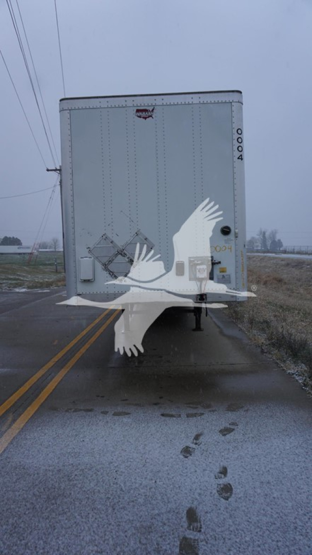 Rear view of a 2020 Wabash dry van trailer showing back doors with a white bird graphic overlay on silver corrugated aluminum. Visible: trailer ID 0004 and vertical rivets.