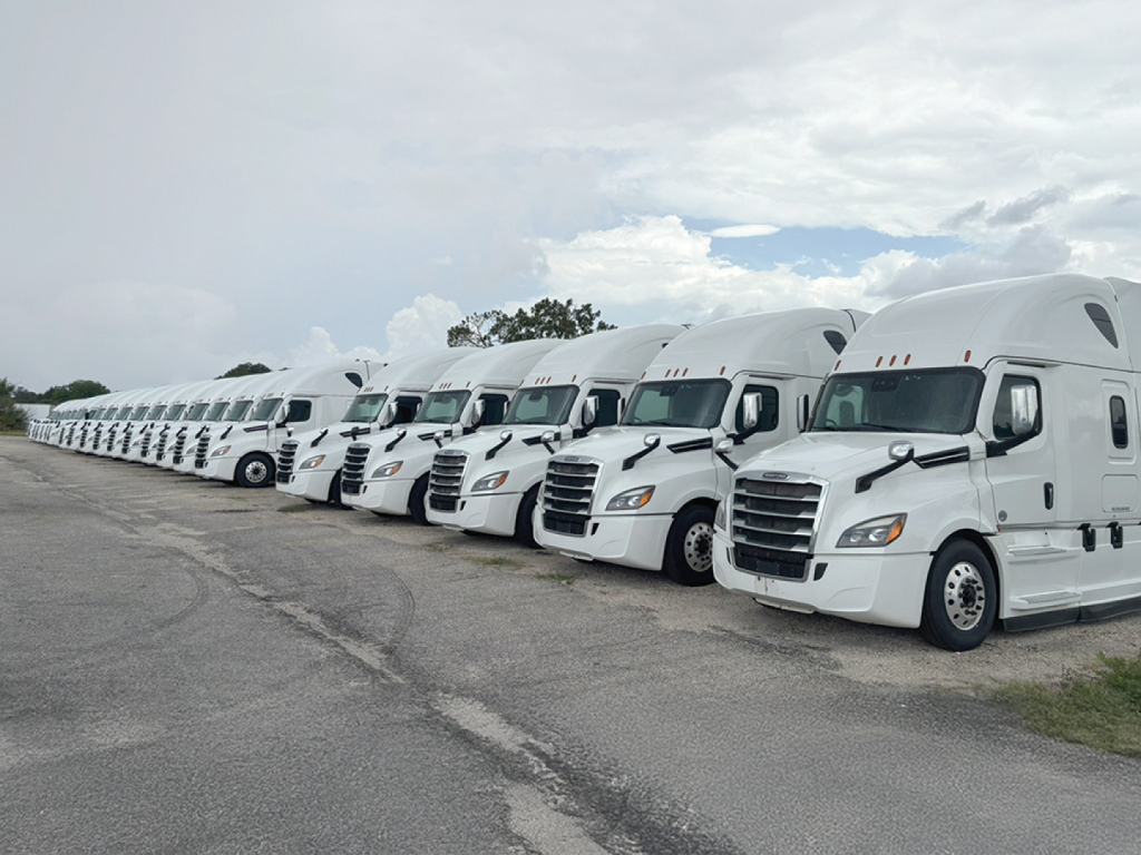 Line of white Freightliner Cascadia sleeper trucks parked in a lot.