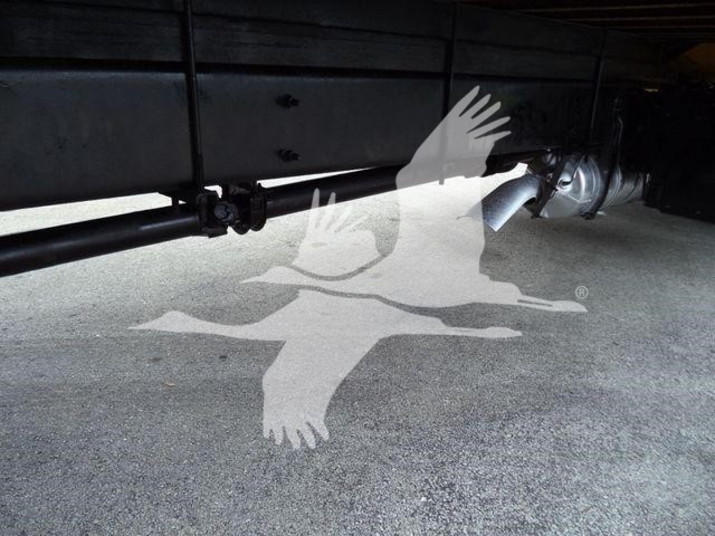 Underbody view of a 2019 International Durastar 4300 truck showing chassis, axles, and undercarriage components.