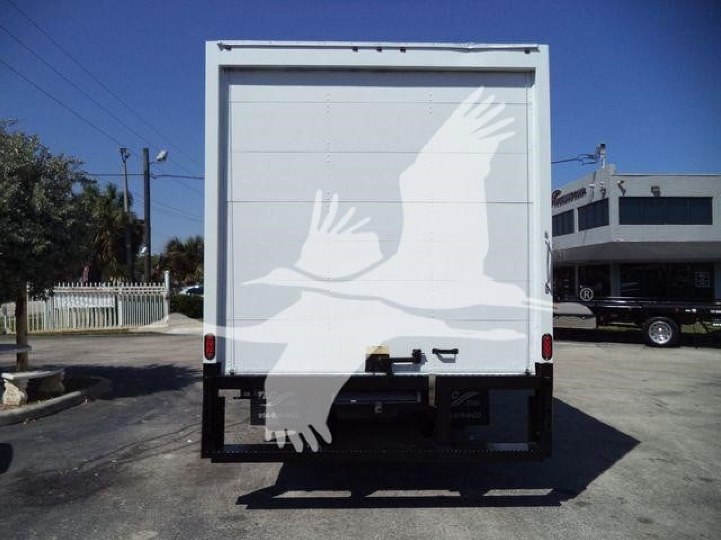 Box truck rear view showing cargo area with white bird logo on doors and black rear bumper, taillights, and license-plate area.