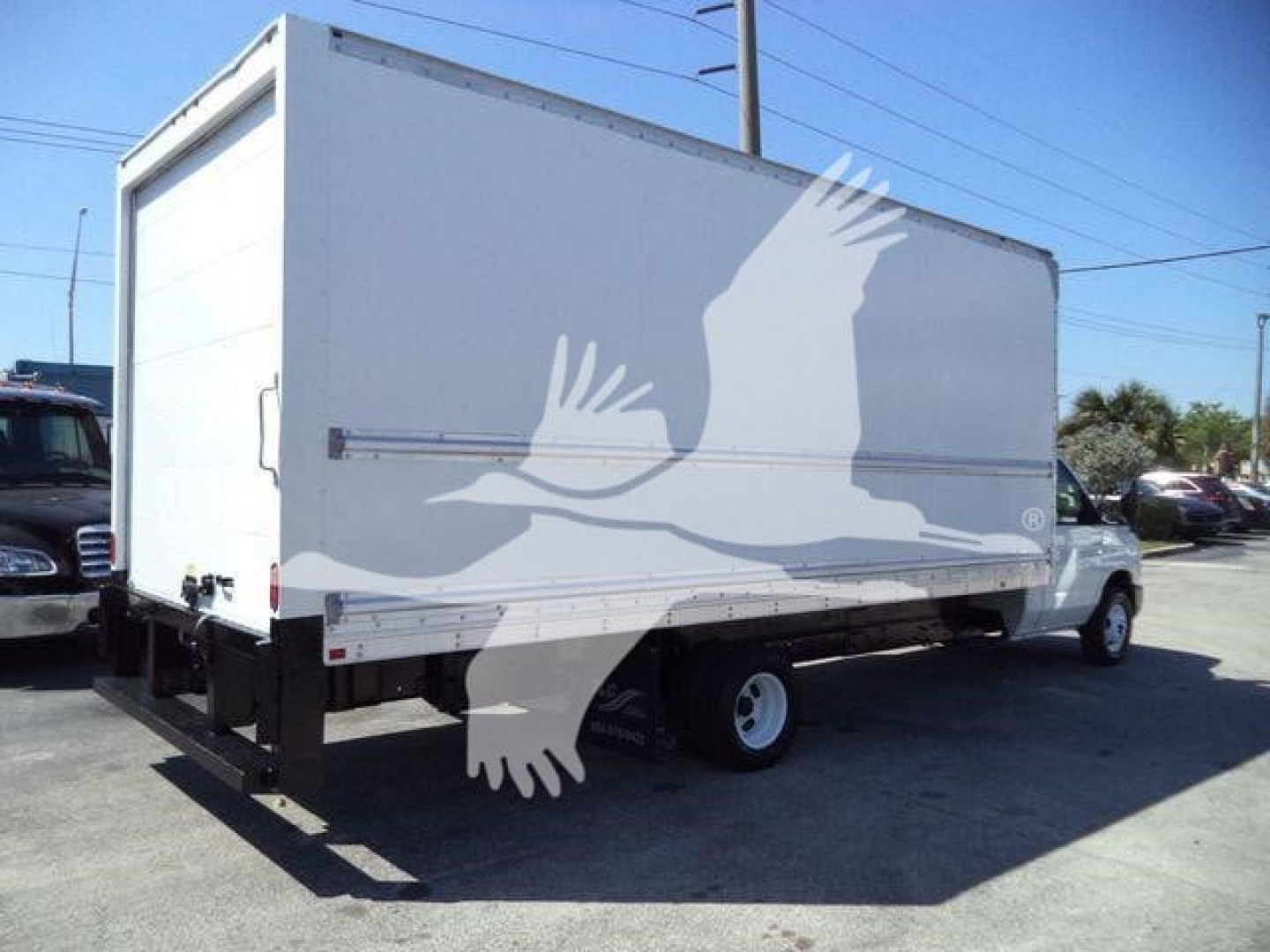 Box truck rear and side showing plain white cargo box with logo of a bird watermark and no visible text.