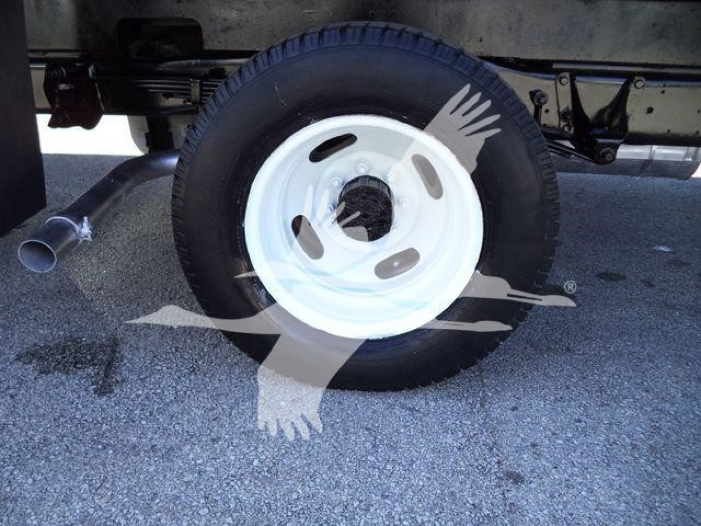 Ford E-450 wheel and tire view with white steel wheel and black tire under vehicle chassis.