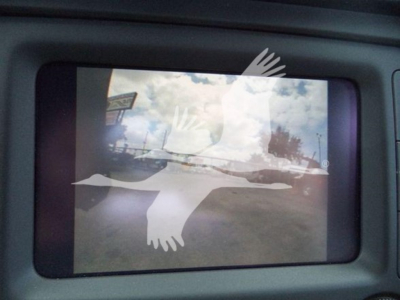 Truck window showing reflection of outdoor scene with a white bird sticker on the screen.