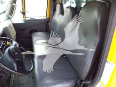 Interior of a 2019 International 4300 truck showing front seats and steering wheel; watermark overlay with birds in flight across the image.