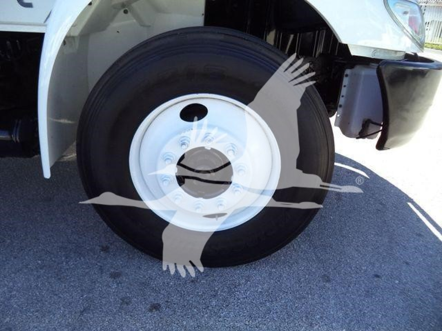 Front wheel of a 2019 International 4300 truck with white rim, black tire, partial cab in white; watermark of a bird overlay.