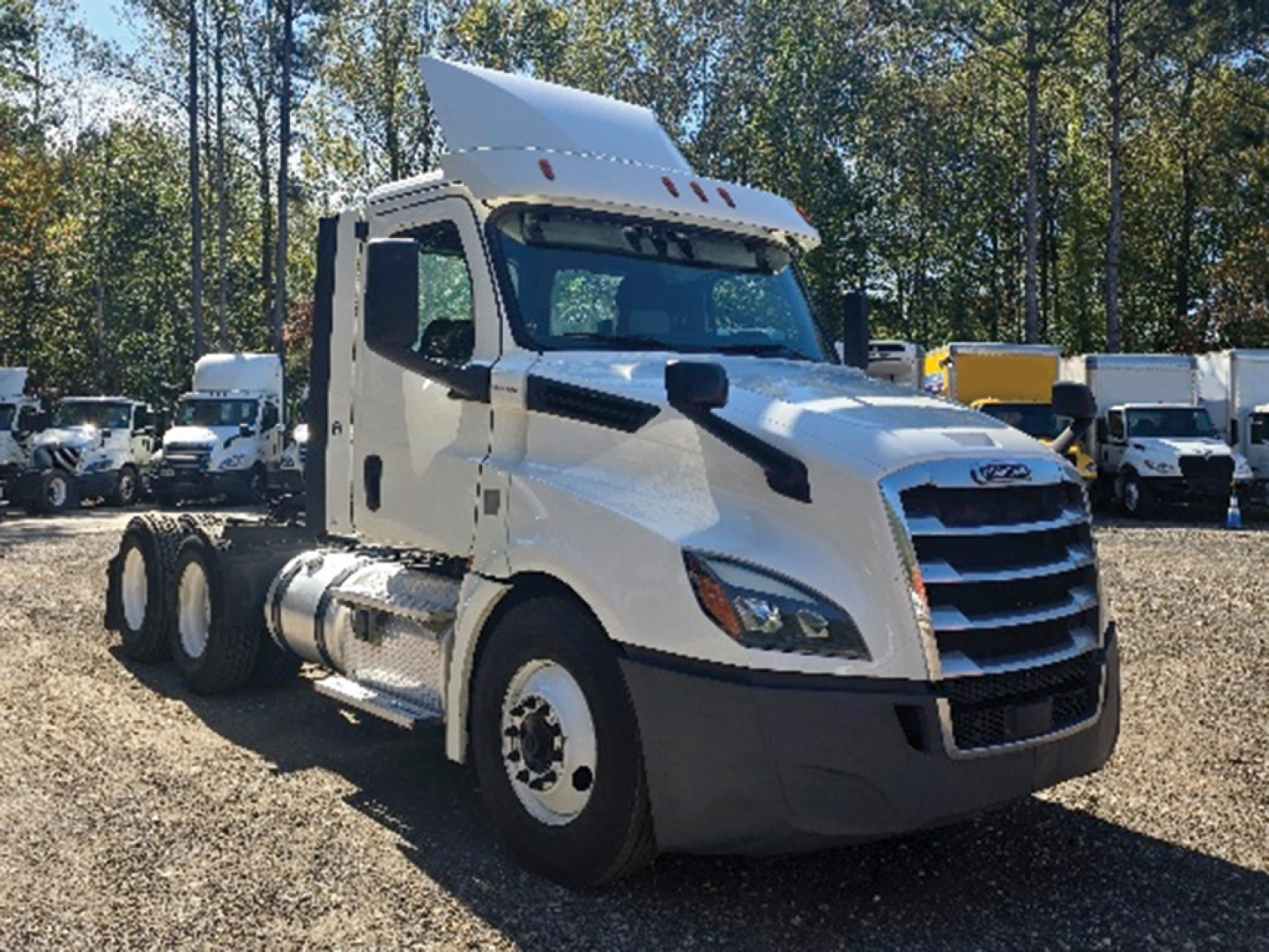 Freightliner Cascadia126 conventional daycab truck in white, side view showing cab, hood, and dual rear axles with fuel tanks; VIN plate not visible.