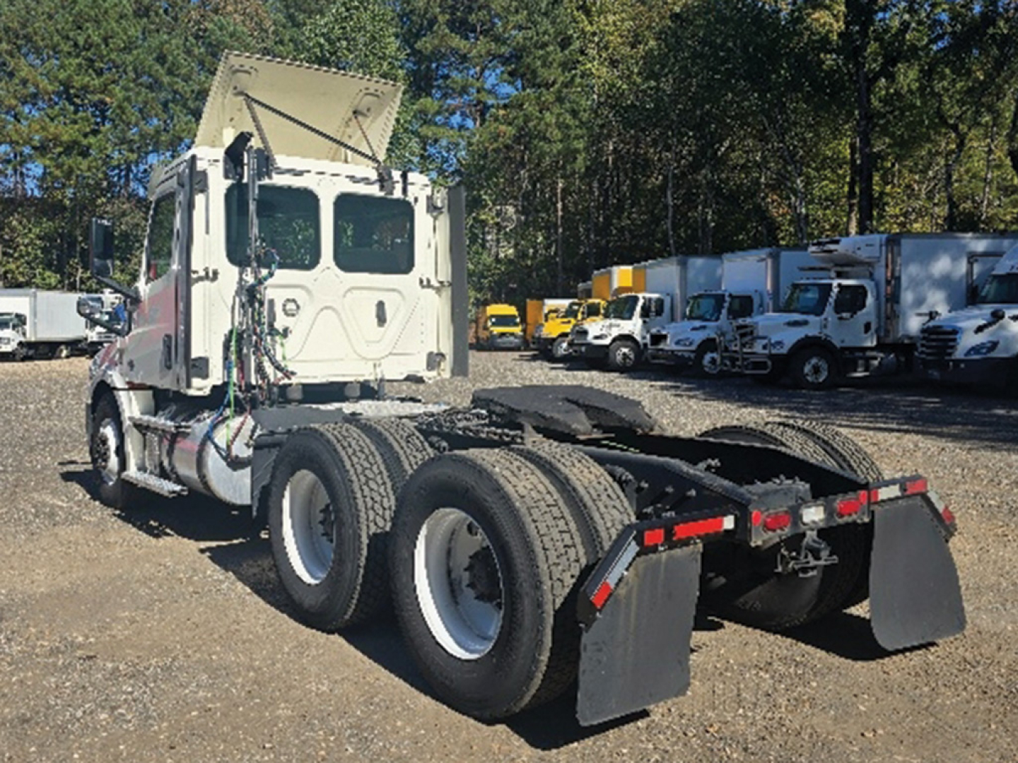 Freightliner Cascadia126 truck chassis showing rear axles and mud flaps in a used commercial truck lot.