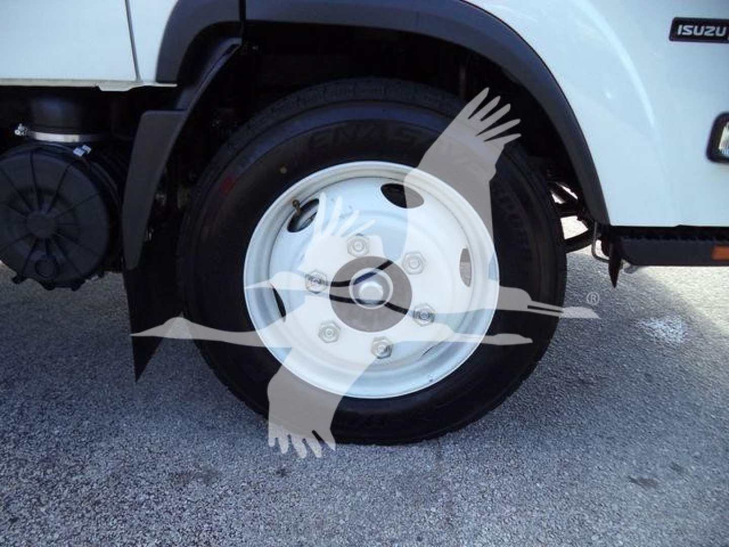 Isuzu NPR-HD front wheel area showing single steel wheel with hub and tire, part of a white cab chassis truck.