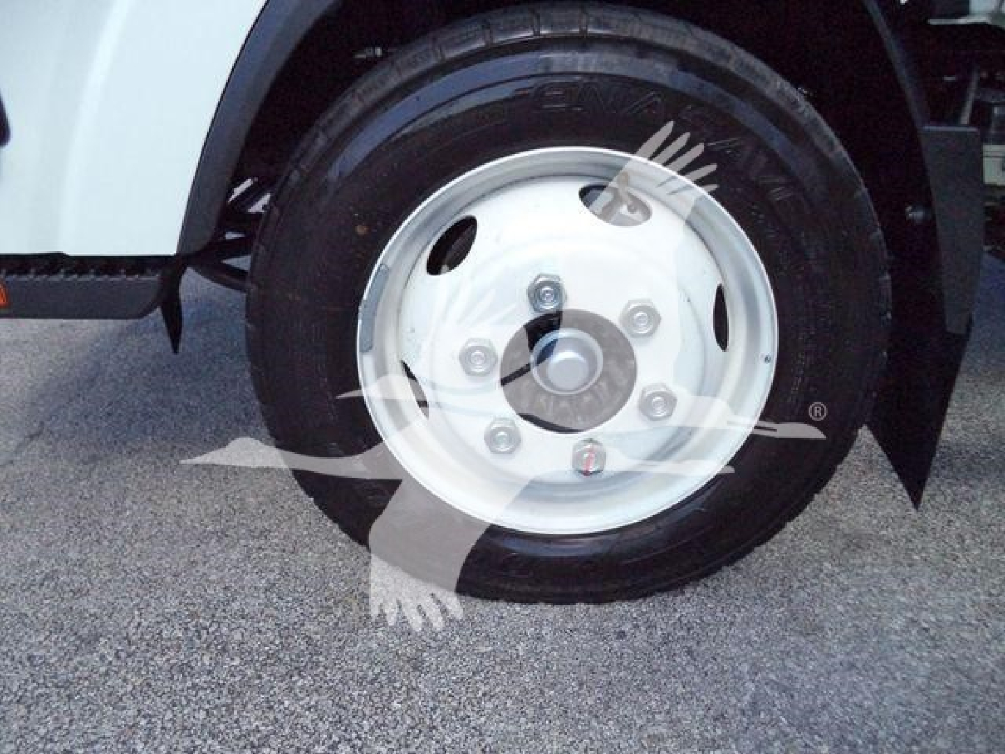Isuzu NPR HD truck wheel and hub showing front wheel with white steel rim and black tire.