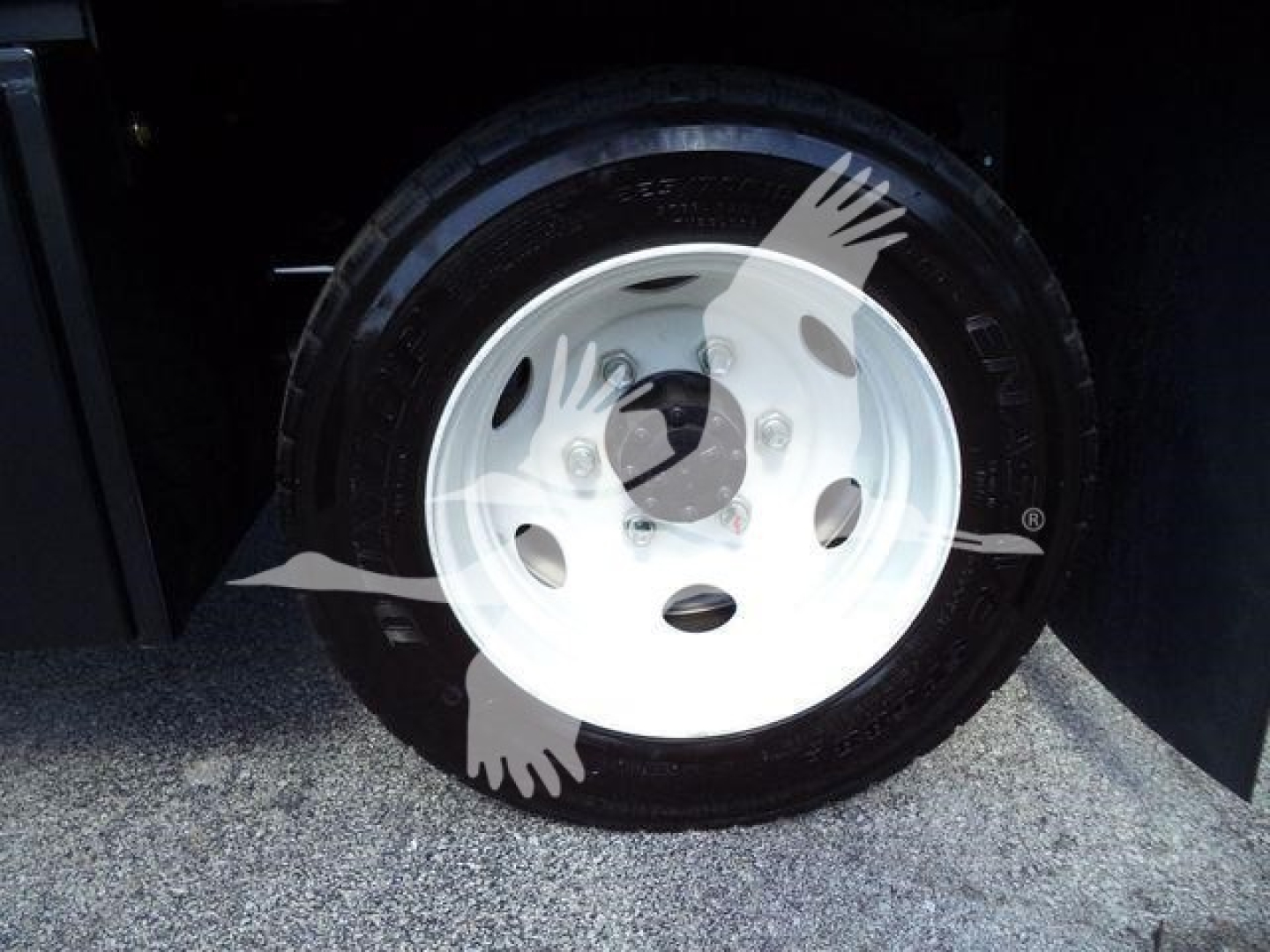 Isuzu NPR-HD truck wheel and tire in close-up showing white steel rim and black tire.