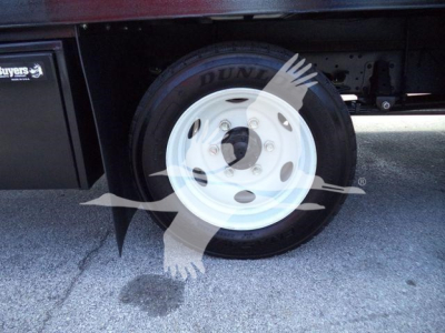 Isuzu NPR-HD truck wheel and tire visible under the chassis with white steel rim and Dunlop tire.