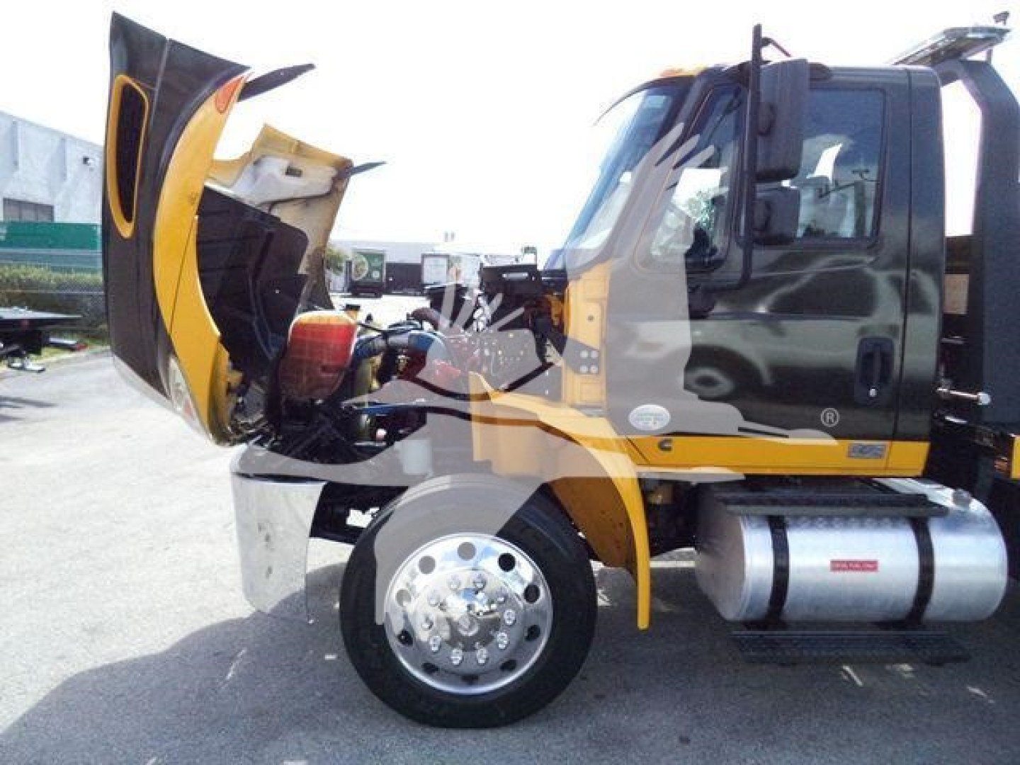 Side view of a 2019 International 4300 rollback truck with hood open, showing front wheel, engine bay, and cab interior.
