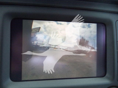 Screenshot of a Ram 4500 winch truck display showing an image of a seagull graphic overlay on the screen.