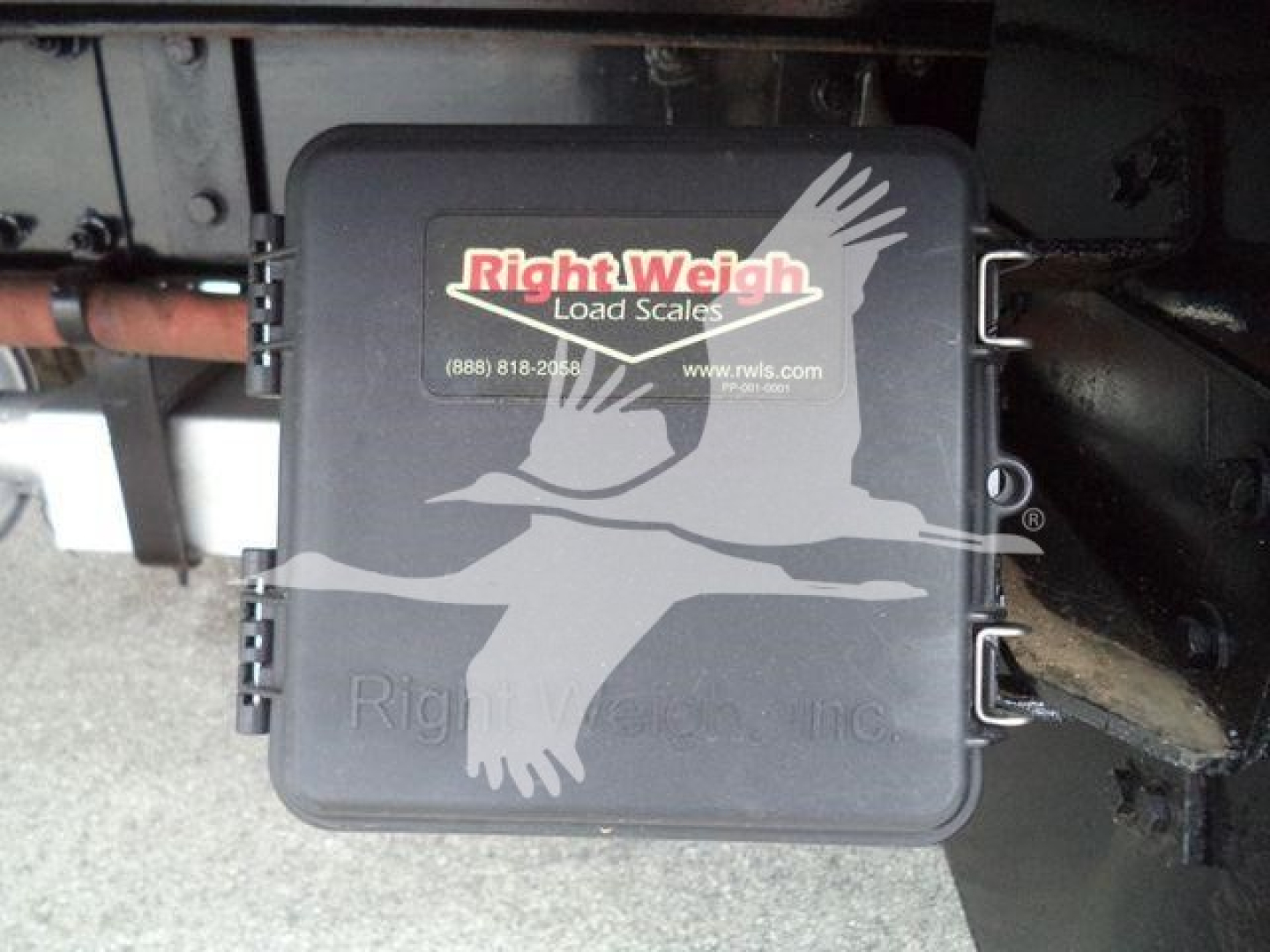 Image shows a RightWeigh Load Scales box mounted under a Peterbilt 348 chassis; label reads RightWeigh Load Scales with a bird graphic and contact info. No other visible text.