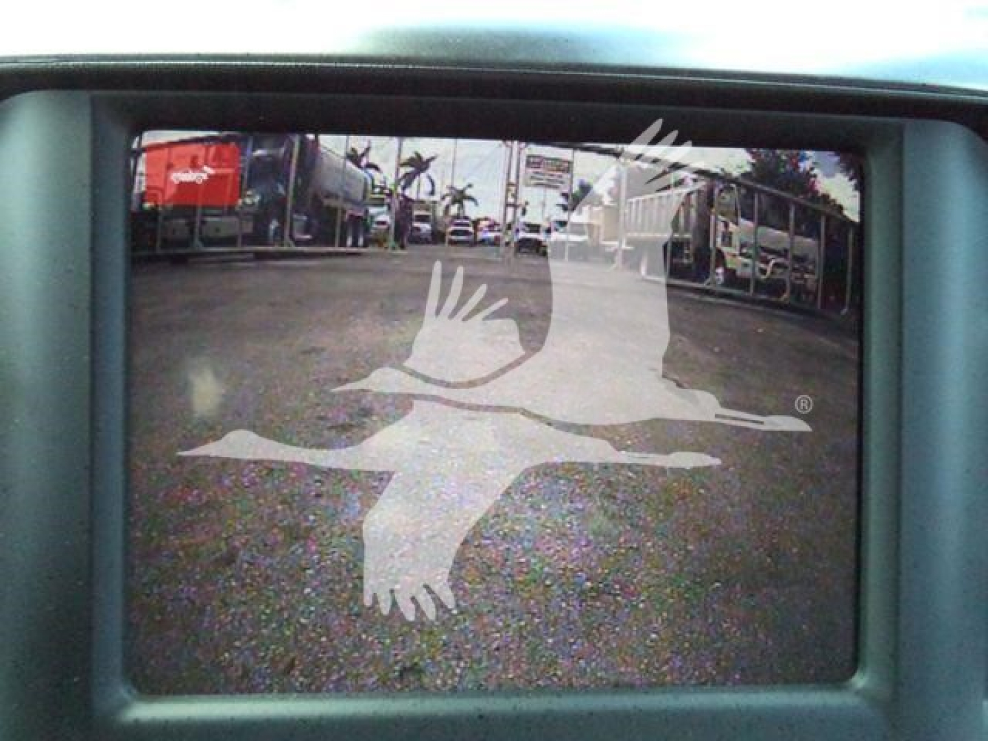 In-vehicle monitor showing a reflection of a dealership lot with palm trees and vehicles, overlaid with a white flying pelican logo.