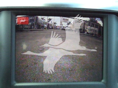 In-vehicle monitor showing a reflection of a dealership lot with palm trees and vehicles, overlaid with a white flying pelican logo.