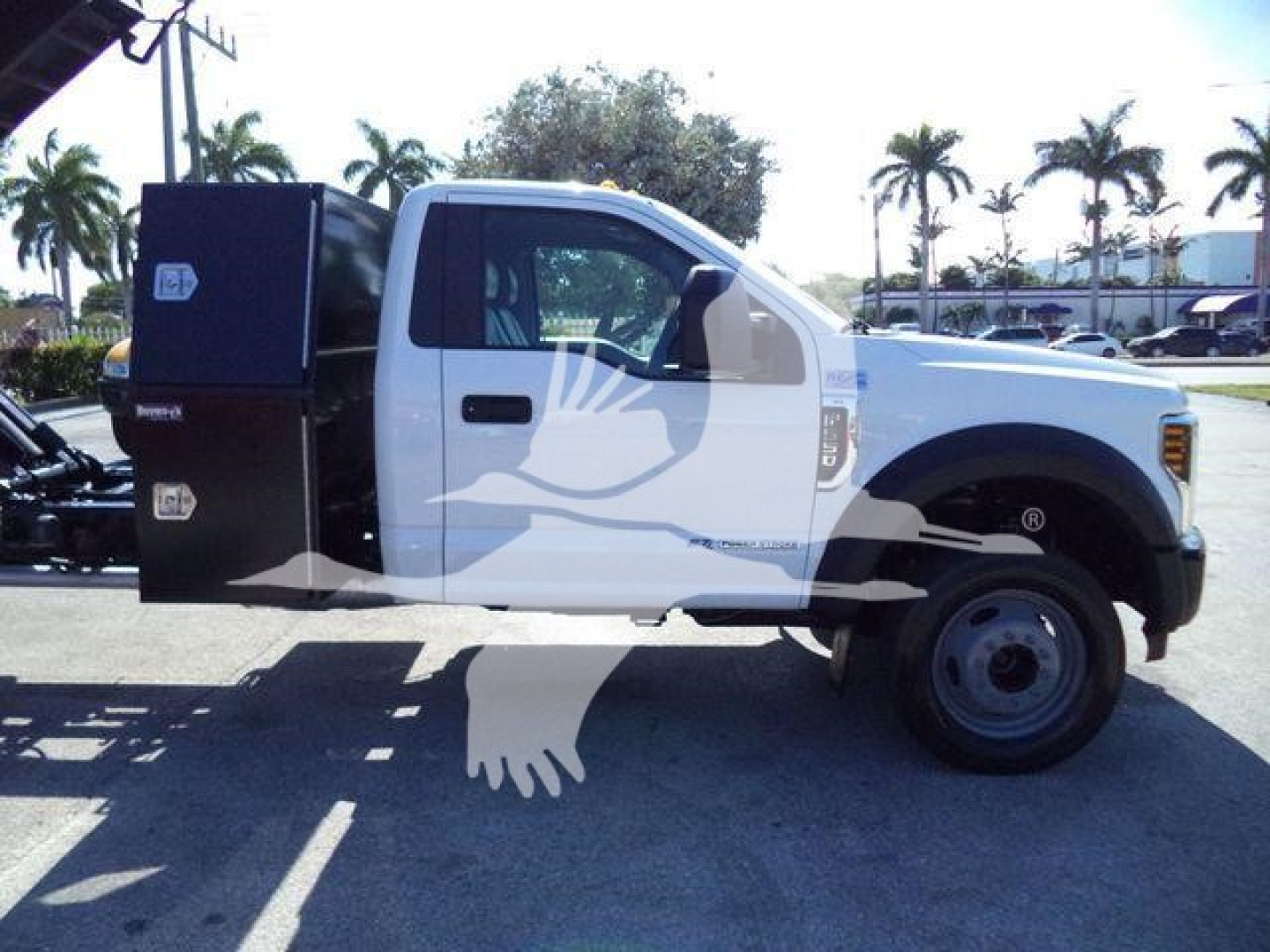 Ford F-550 dump truck side view showing black service box behind cab and white cab with decals.