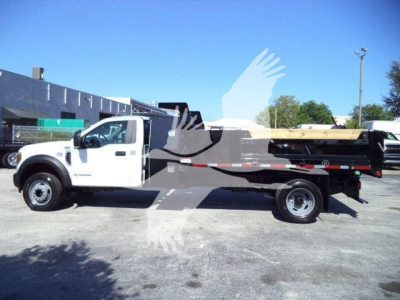 Ford F-550 dump truck side view showing white cab and black dump bed with red reflective stripe.