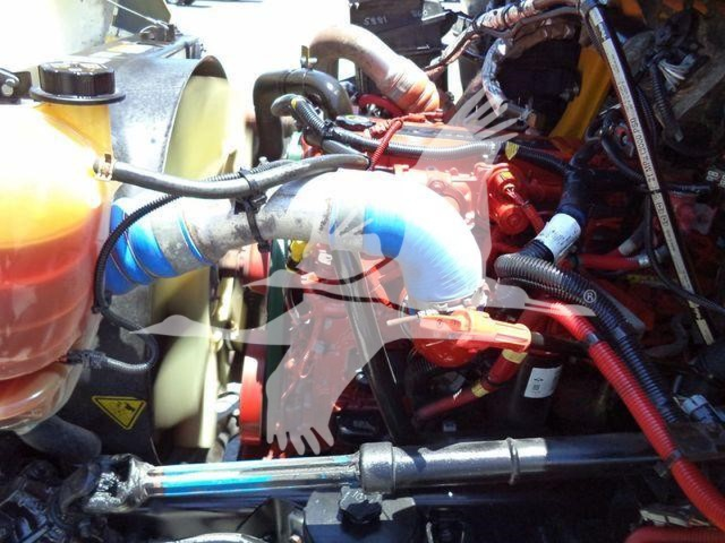 Engine bay of a 2019 International Durastar 4300 chassis showing coolant hoses, intake piping, and various hydraulic lines.