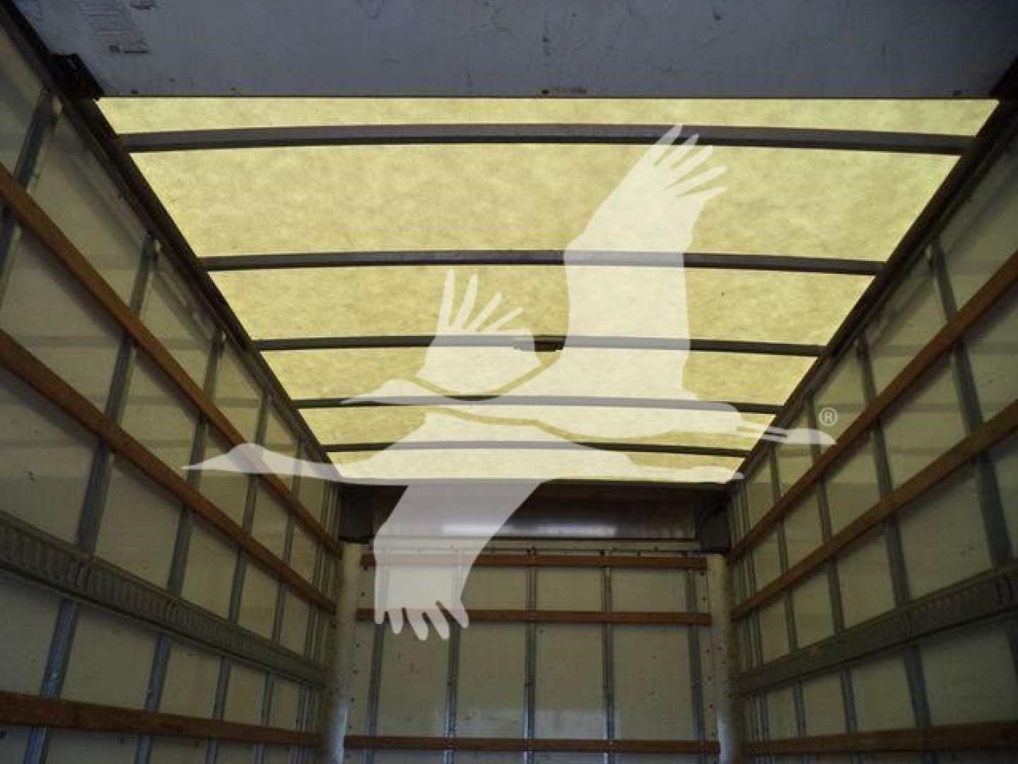 Isuzu NPR HD truck box interior viewed from rear showing empty cargo space and overhead translucent roof.