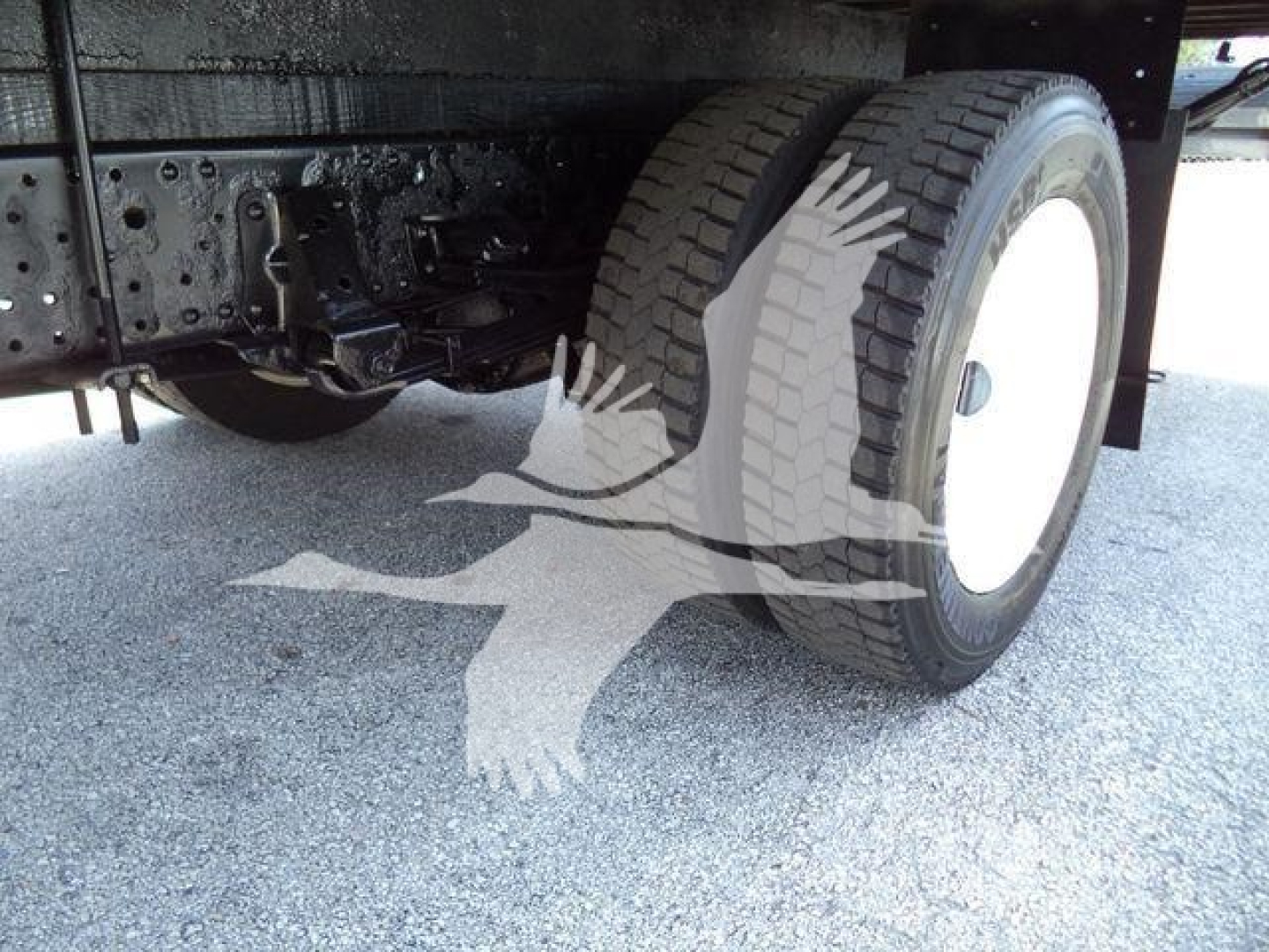 Isuzu NPR HD truck rear dual wheels and undercarriage view showing suspension and axle components.