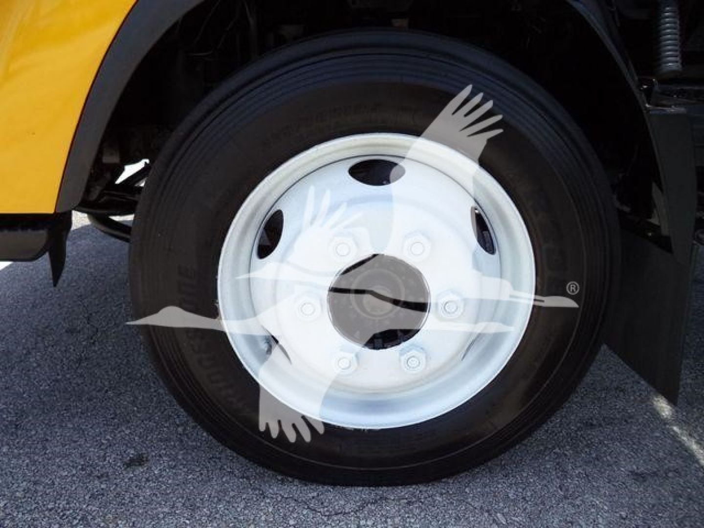 Isuzu NPR-HD truck wheel and tire with white steel rim.
