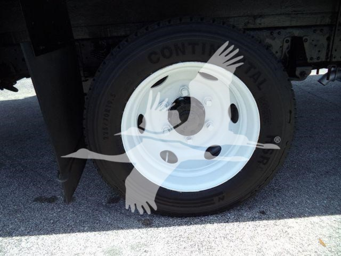 Isuzu NPR HD truck wheel and tire showing tire tread and white steel wheel.