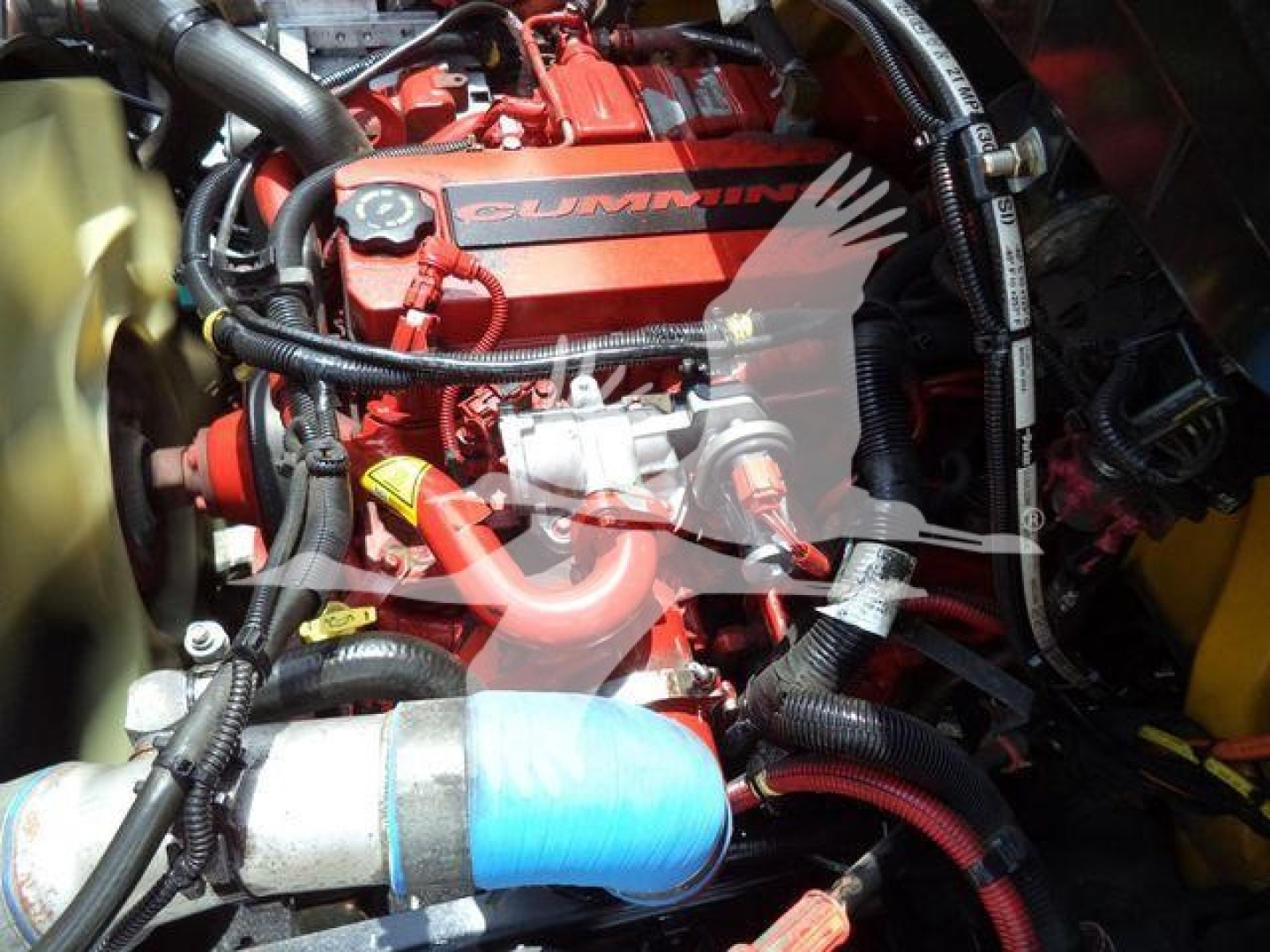 Engine bay of a 2019 International 4300 grapple truck showing a Cummins engine with red components and surrounding hoses.
