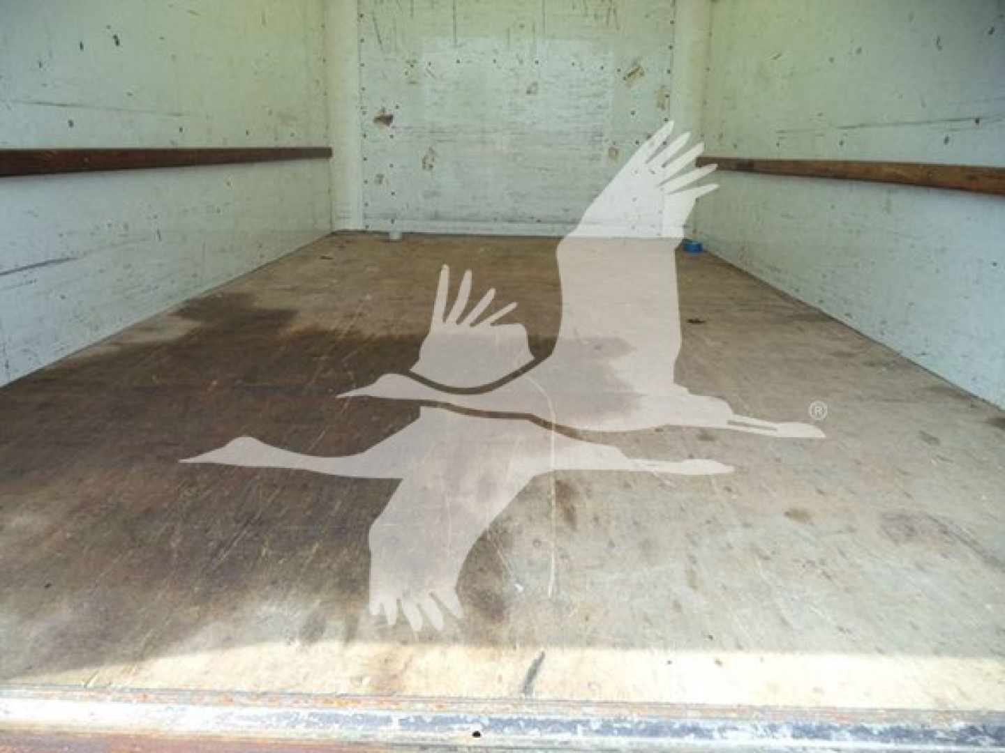 Interior cargo area of a 2021 GMC G3500 cargo van showing wooden floor and side walls with a large white bird logo watermark.