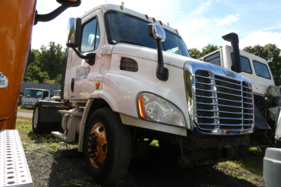Freightliner Cascadia 113 daycab truck front view showing chrome grille, white cab, and dual mirrors.