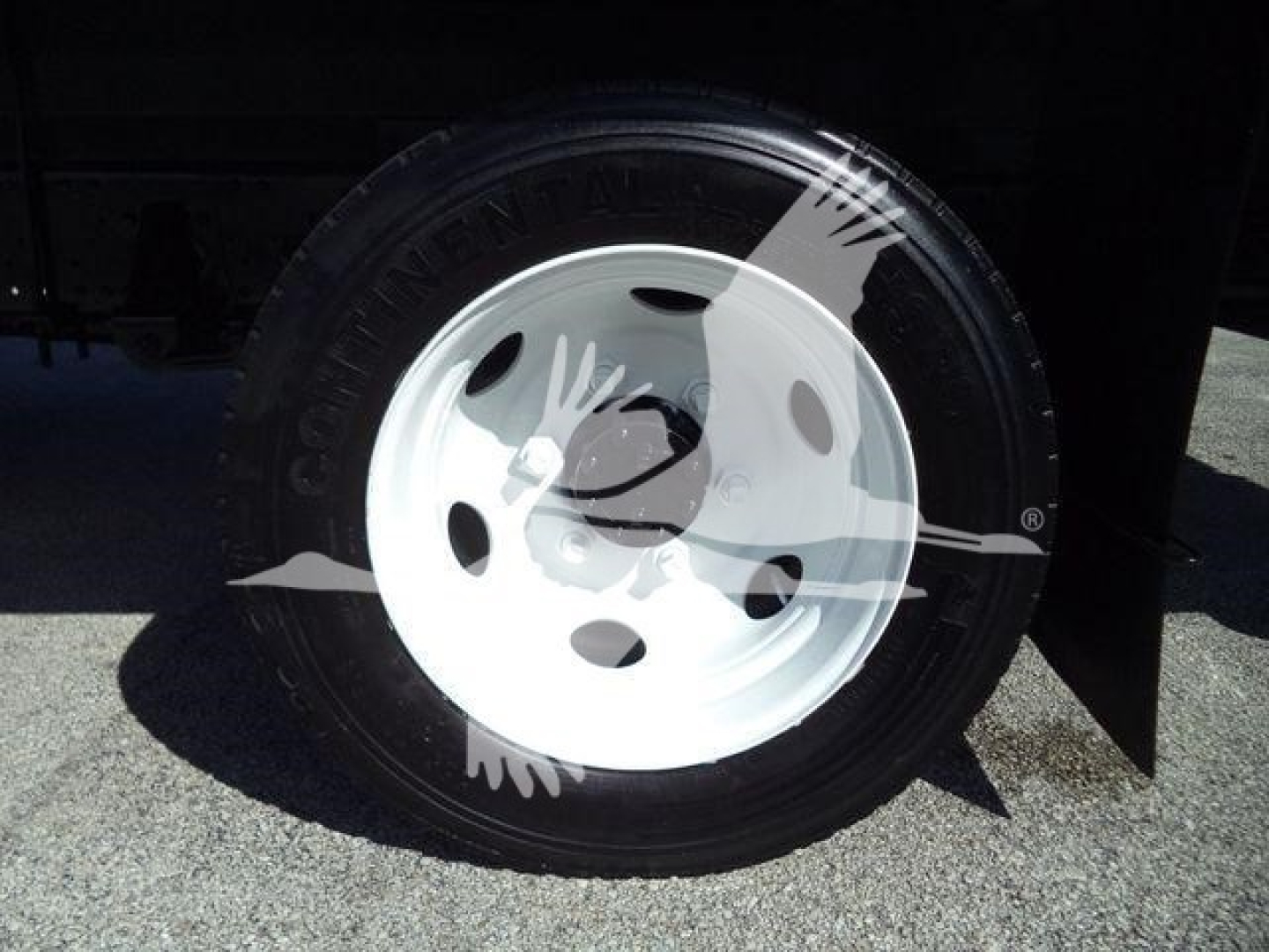 Isuzu NPR HD wheel and tire close-up showing white steel rim and Continental tire.