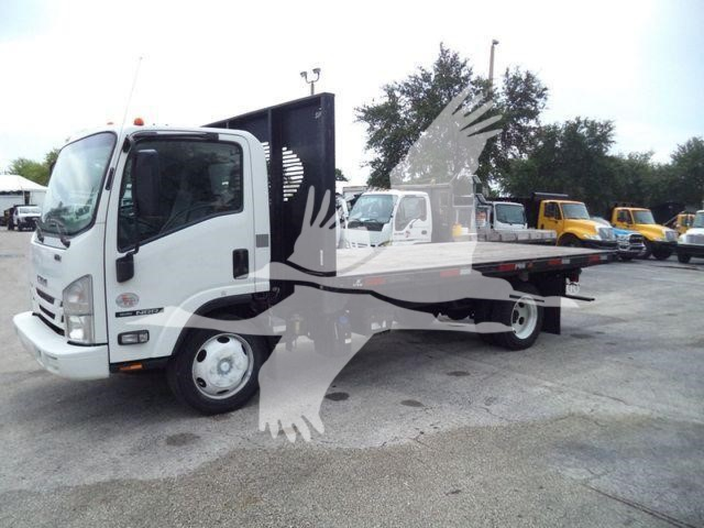 Isuzu flatbed truck in a dealership lot showing cab and flatbed surface with other trucks in background.