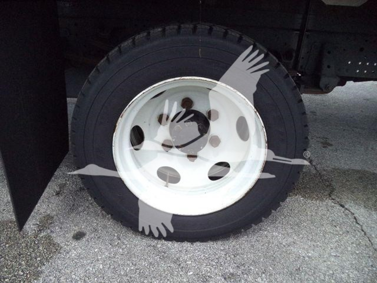 Isuzu NPRR truck wheel and tire mounted on white steel rim under flatbed, partial chassis visible.