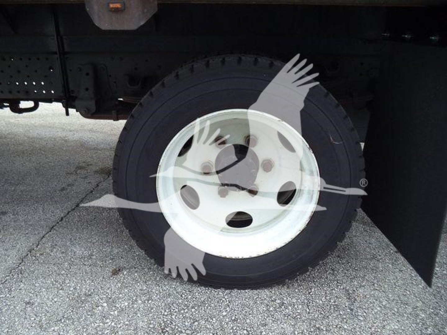 Isuzu NRR wheel and tire undercarriage view showing white steel rim and black tire on a flatbed truck