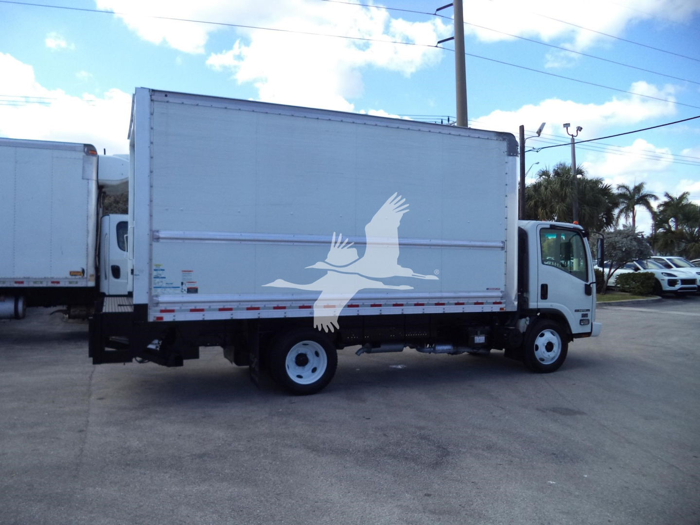 Isuzu NPR-HD box truck showing side profile with white box body and a graphic of flying birds. Text/labels not clearly visible on the truck side.