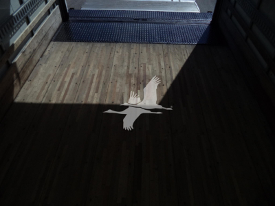 Isuzu NPR HD truck cargo area with wood floor and a white gull logo visible.