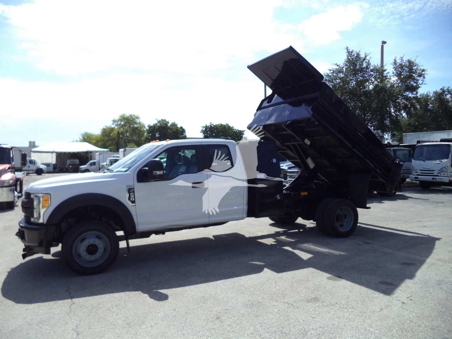 Ford F-450 Dump truck with hydraulic dump bed raised, white cab, side view, large black dump bed.