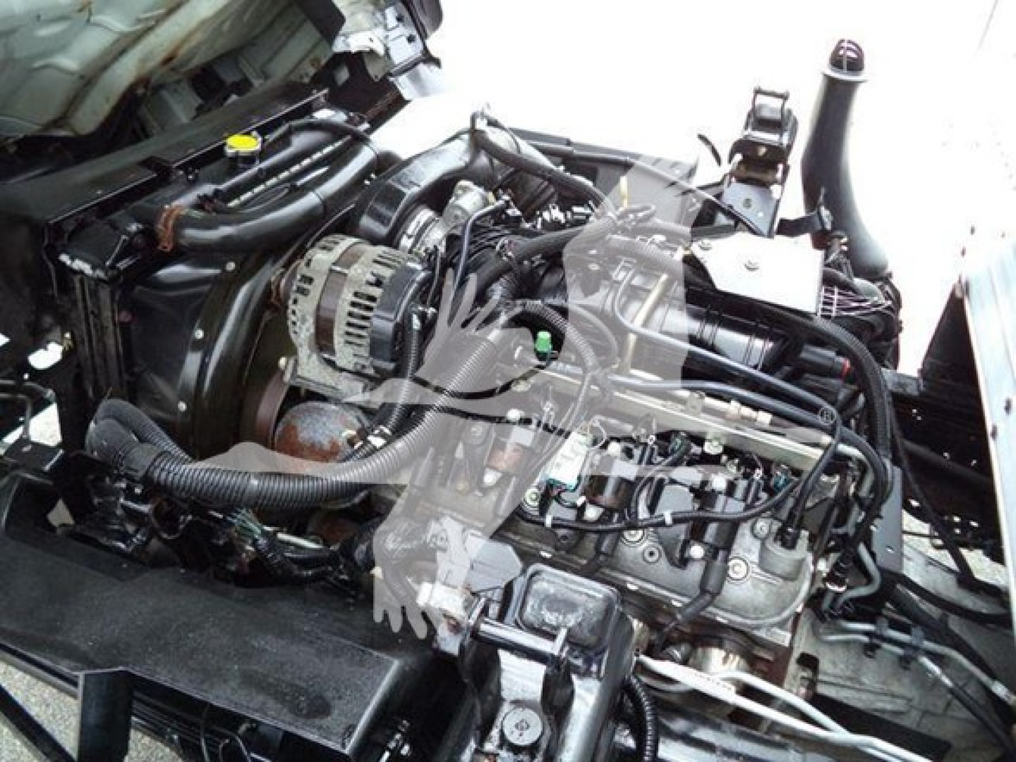 Isuzu NPR HD engine bay showing alternator, hoses, and intake manifold with surrounding components.