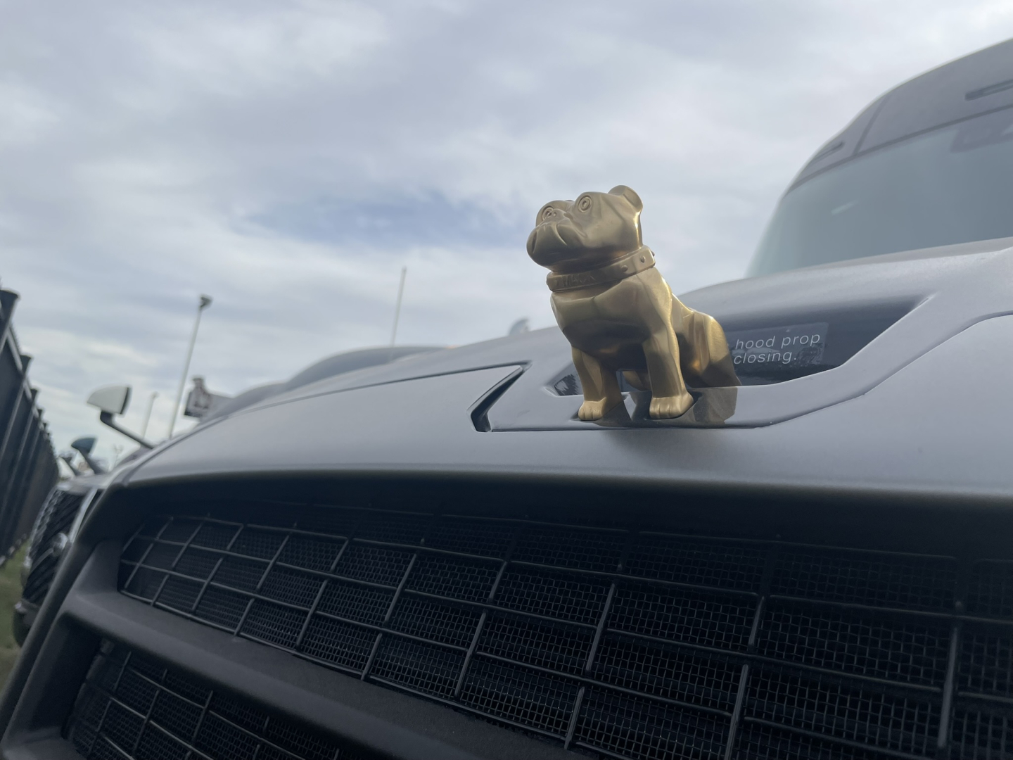 Trucker's Mack PR64T76H truck front grille with a small dog figurine on hood ornament.