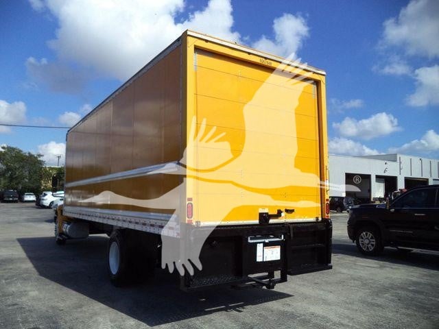 2019 International Durastar