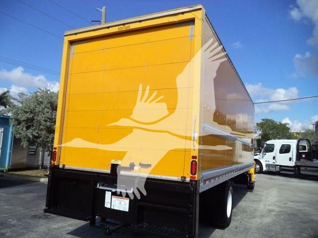 2019 International Durastar