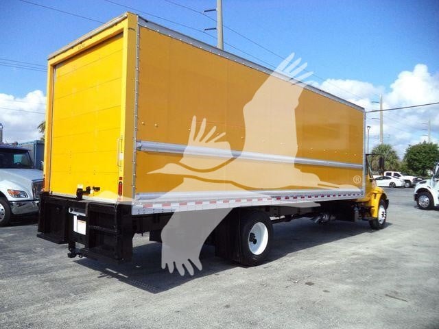2019 International Durastar