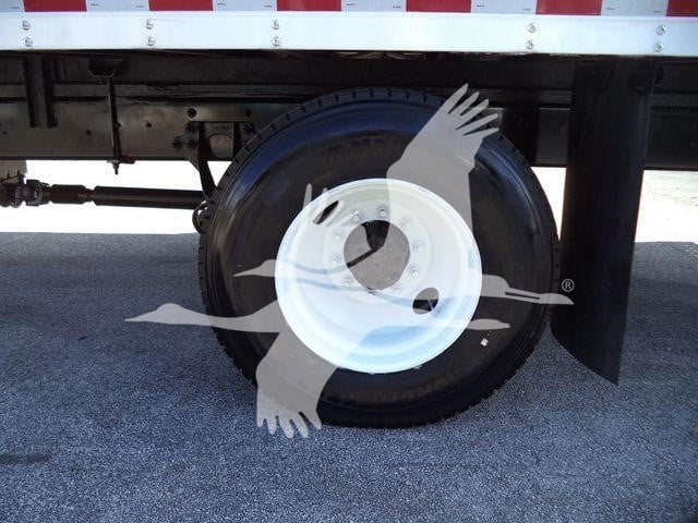 2019 International Durastar