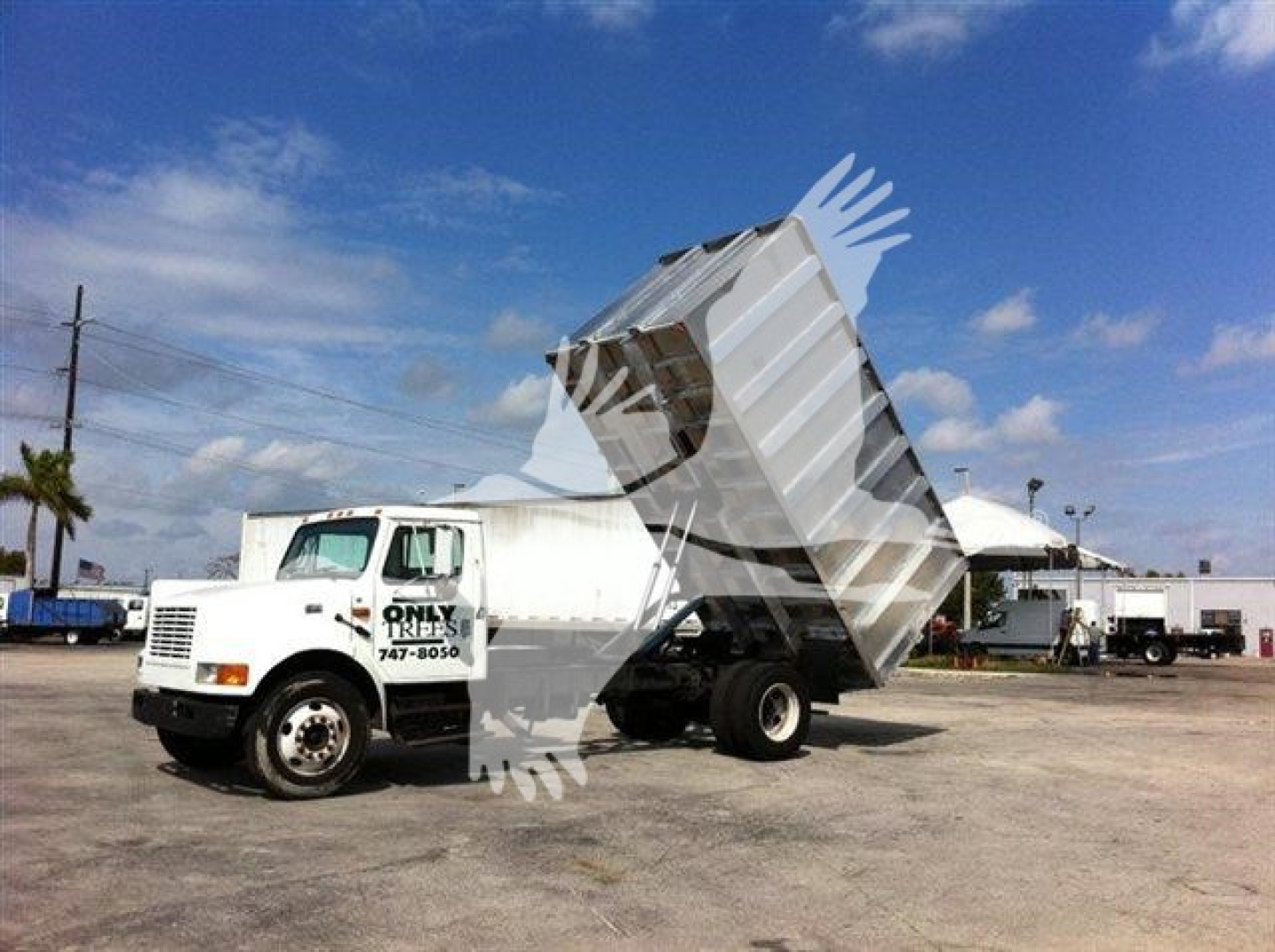 Dump truck with a raised dump body tilted up, white cab and front grille, text on door reads 'ONLY GREES 747-8050' and there is a pile of tails wings graphic overlay.